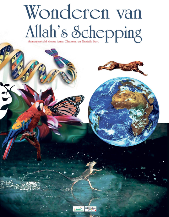 noenshop wonderen Allah's schepping kinderboek leesboek schepping